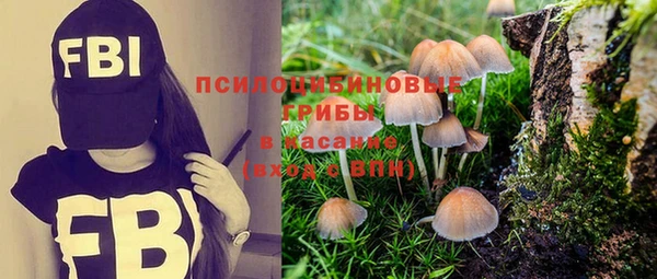 MDMA Premium VHQ Белокуриха
