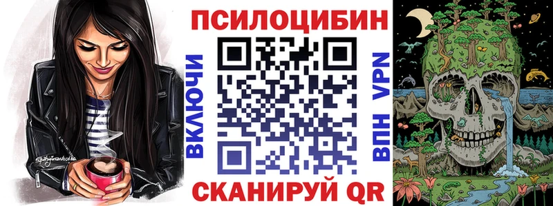 Галлюциногенные грибы Psilocybine cubensis Кущёвская